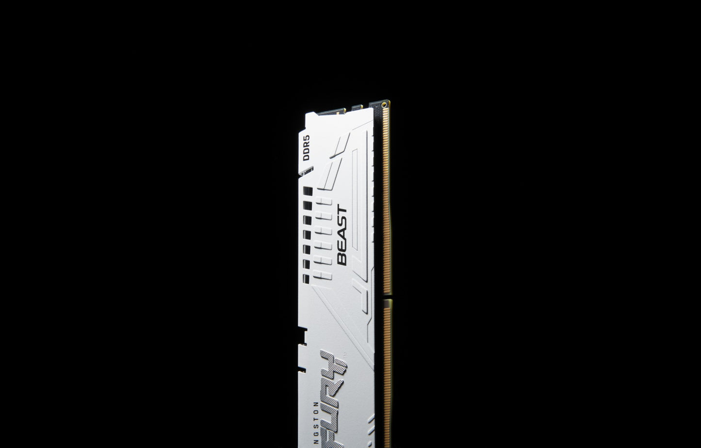 Kingston Technology FURY Beast 32GB DDR5 5600MT/s CL40 Desktop RAM (White)