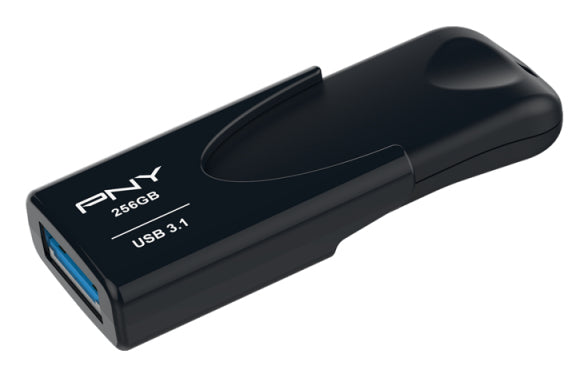 PNY Black 256GB HDD
