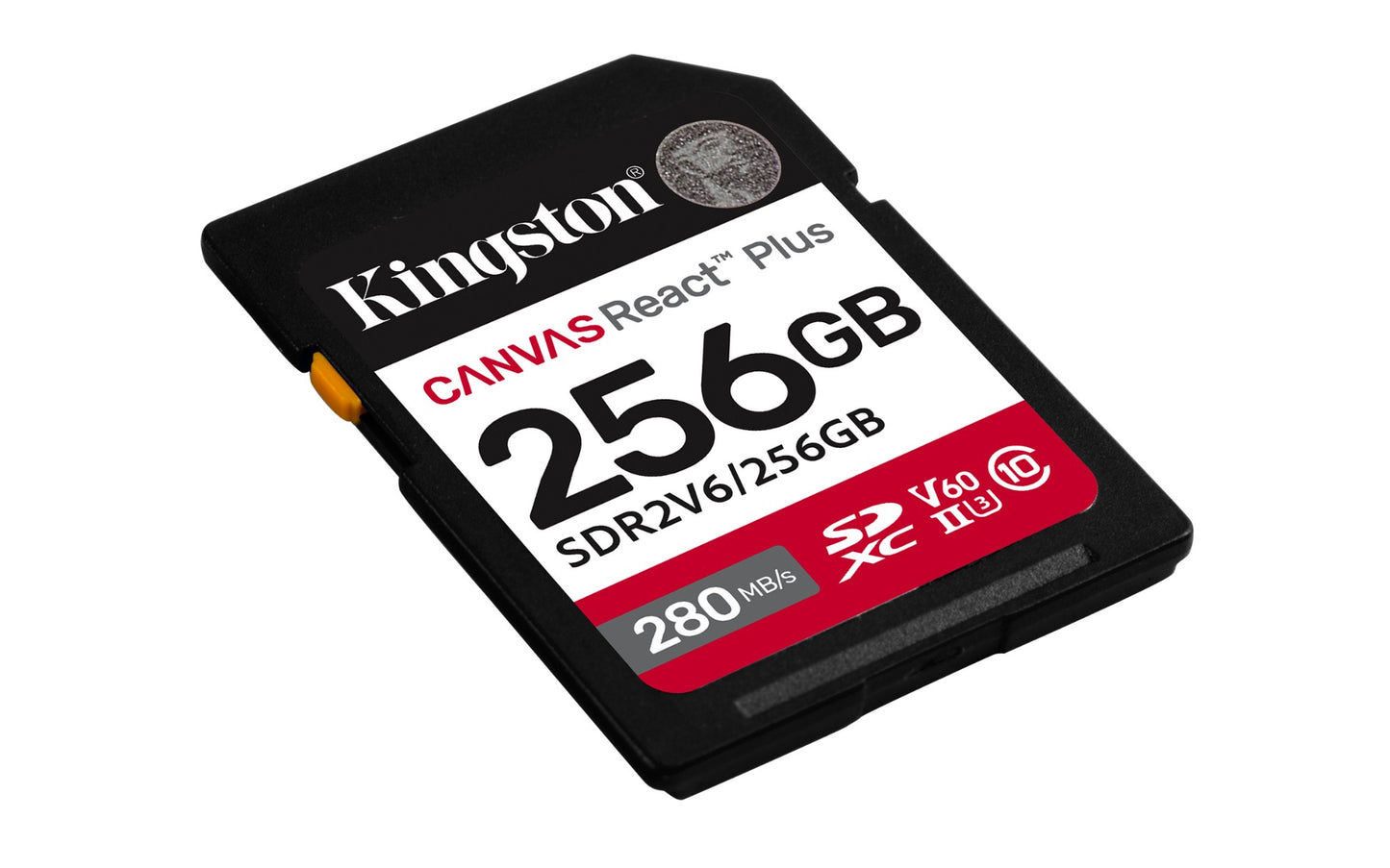 Kingston Technology SDR2V6/256GB 256GB HDD