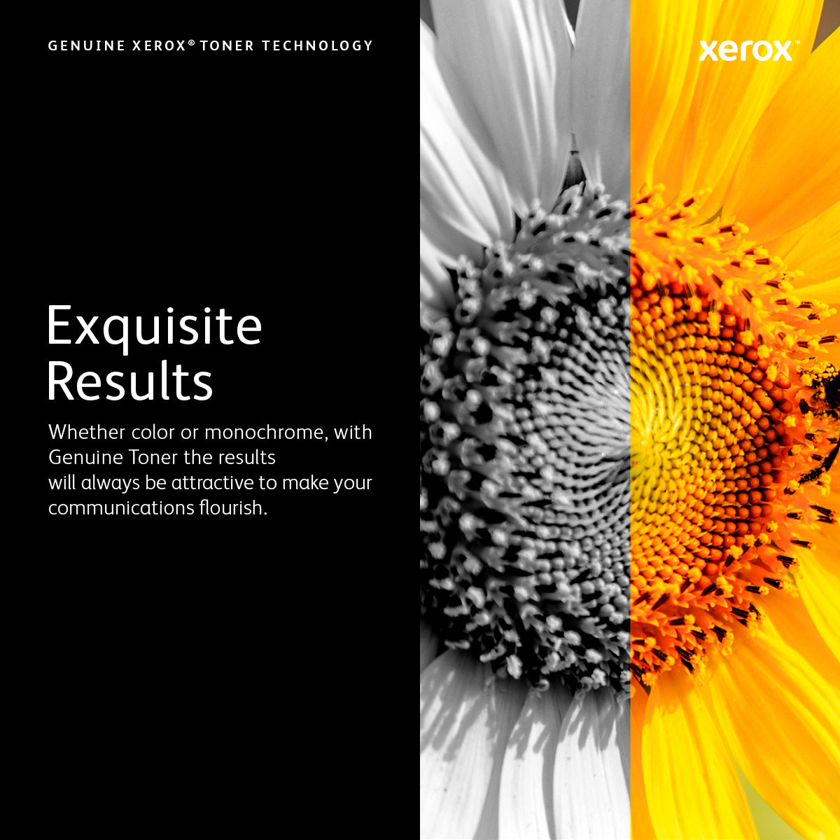 Xerox 106R03519 Magenta Toner Cartridge (4.8K pages, Xerox VersaLink C 400)