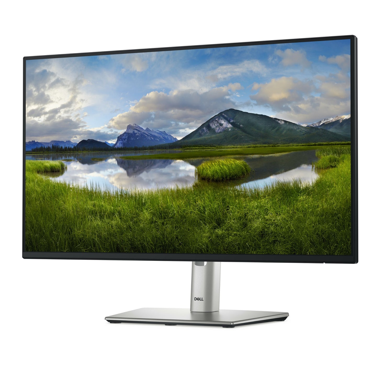 DELL Pro Plus P2425H 24" Full HD IPS 100Hz Monitor