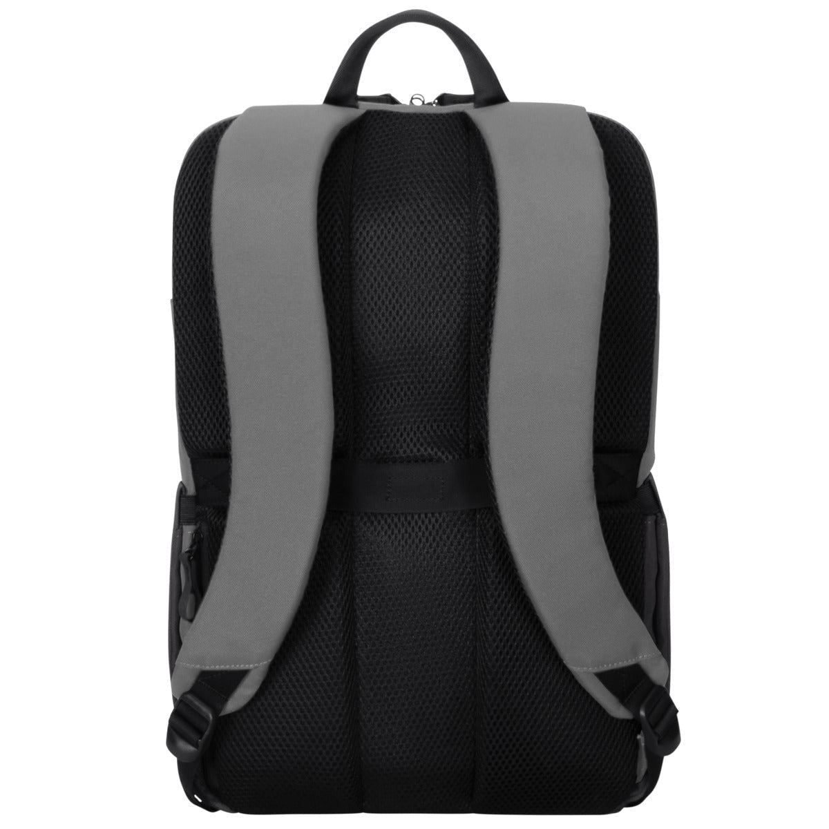 Targus Sagano 39.6 cm (15.6") Backpack Black, Grey Laptop Bag
