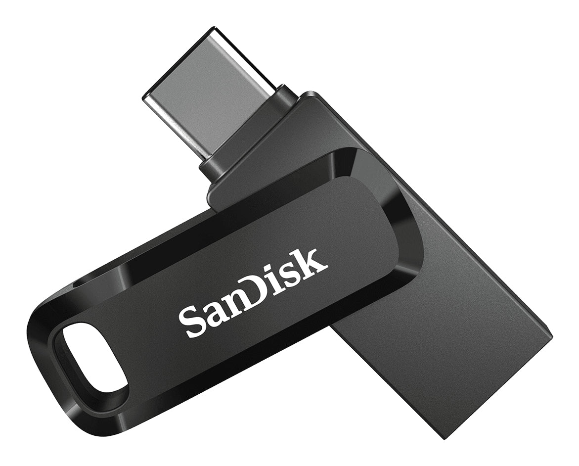 Sandisk Black 256GB HDD (SDDDC3)
