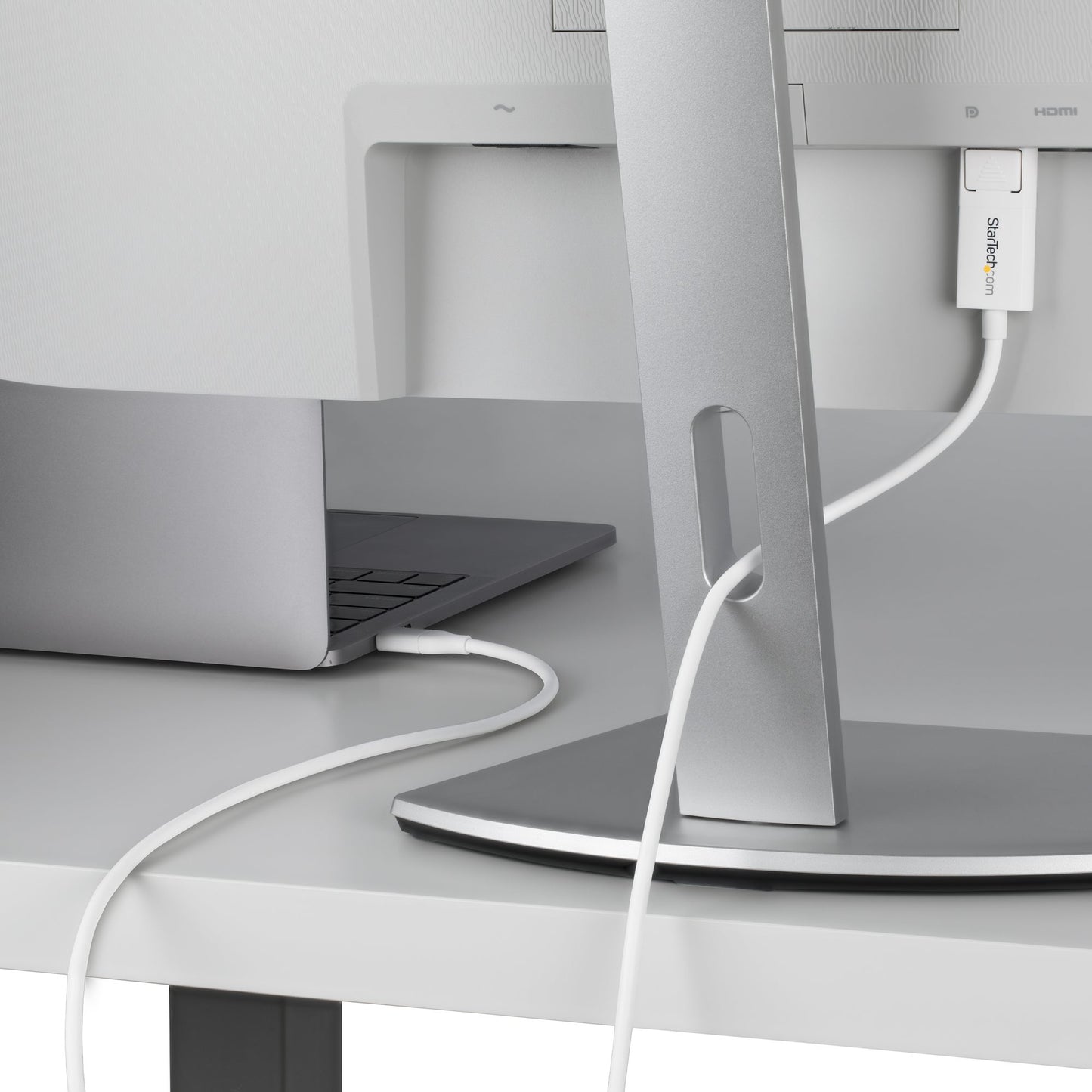 StarTech.com 6ft (2m) USB-C to DisplayPort 1.2 Cable, Bidirectional, 4K 60Hz, White
