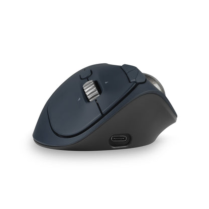 Kensington Pro Fit Ergo Wireless Mouse