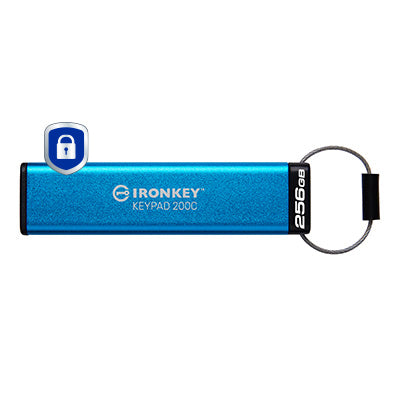 Kingston Technology IKKP200C/256GB 256GB HDD
