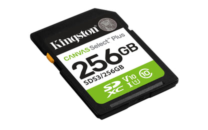 Kingston Technology SDS3/256GB 256GB HDD