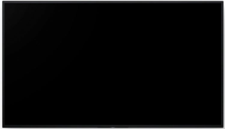 Sony FW-55BZ40L Signage Display Digital signage flat panel 55" 4K UHD IPS Monitor