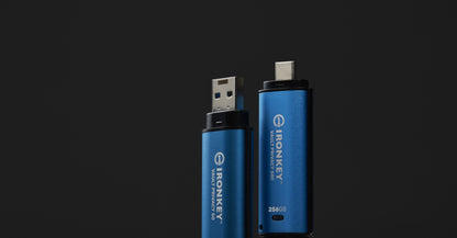 Kingston Technology IKVP50C/256GB 256GB HDD