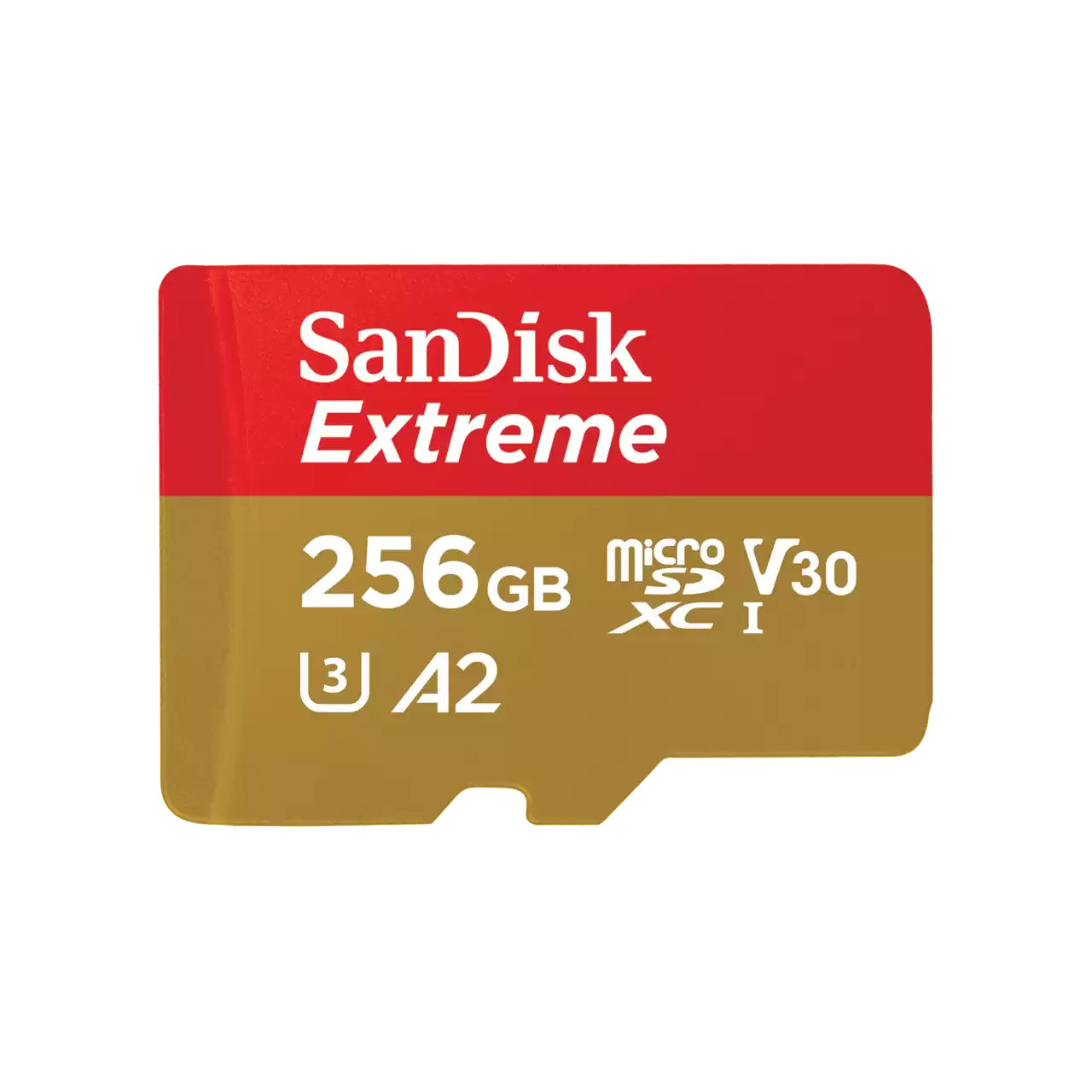 Sandisk SDSQXAV-256G-GN6GN 256GB HDD