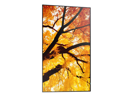 Sharp MultiSync PN-M752 4K UHD IPS Monitor