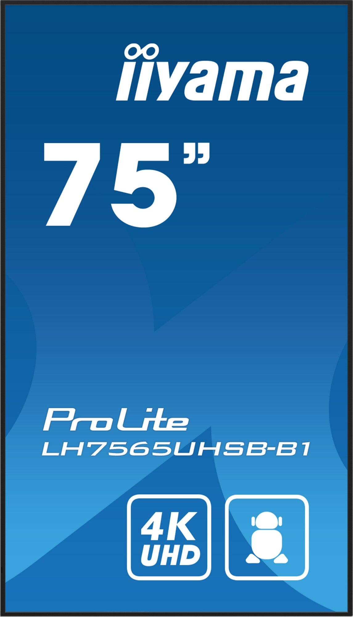 iiyama LH7565UHSB-B1 Signage Display Kiosk design 4K UHD IPS Monitor