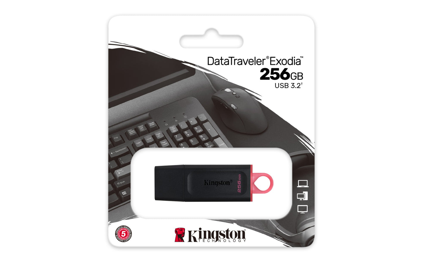 Kingston Technology DTX/256GB HDD