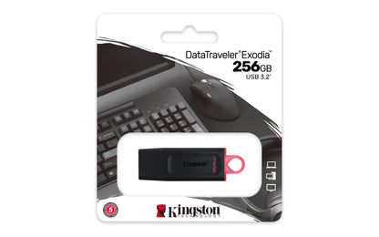 Kingston Technology DTX/256GB HDD