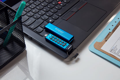 Kingston Technology IKKP200C/256GB 256GB HDD