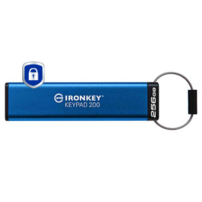 Kingston Technology IKKP200/256GB 256GB HDD
