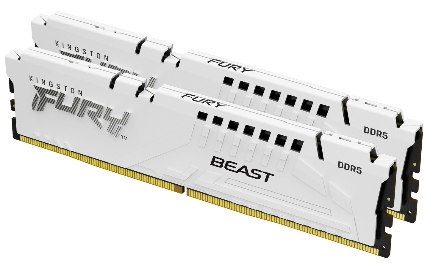 Kingston Technology FURY Beast 32GB DDR5 6000MT/s CL30 Desktop RAM (BWEK232)