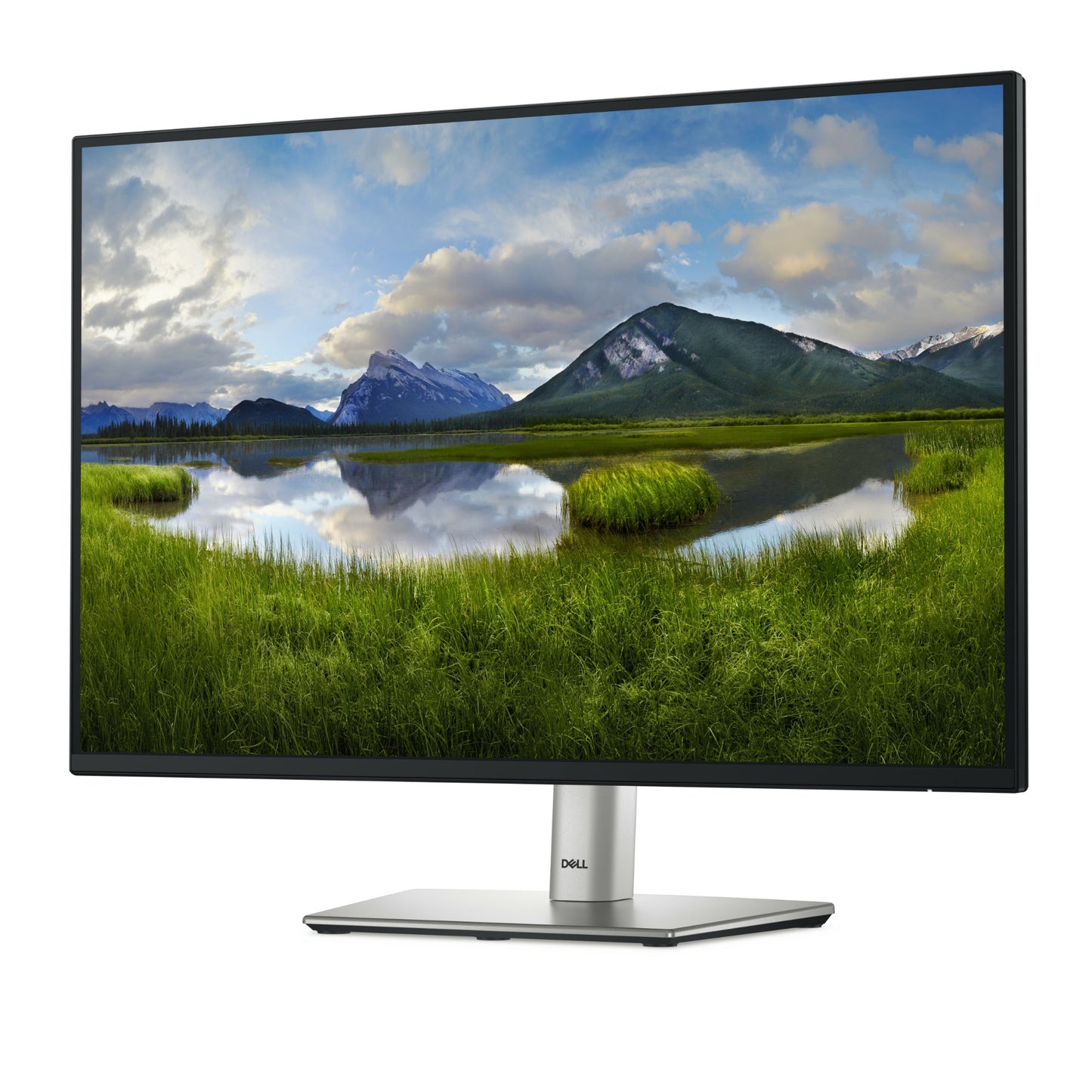 DELL Pro Plus P2425 24.1" WUXGA IPS 100Hz Monitor