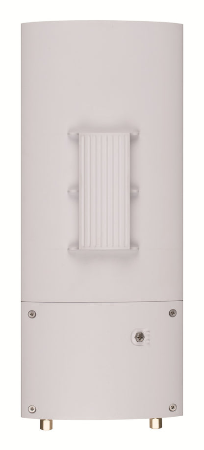 D-Link Wireless AC1300 Wave 2 Outdoor Cloud Networking
