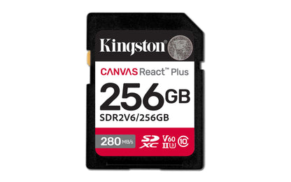 Kingston Technology SDR2V6/256GB 256GB HDD