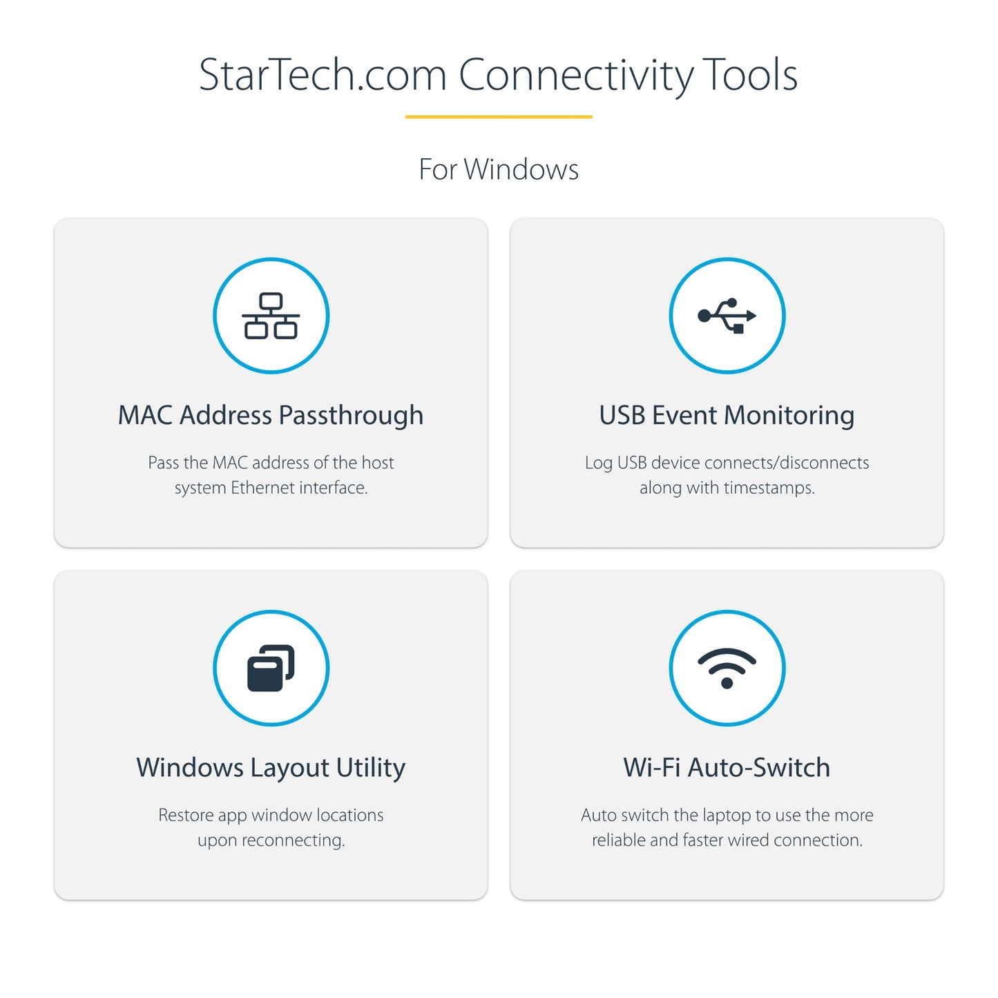 StarTech.com Monitor DVI Ports~Dual USB Docking Station