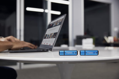 Kingston Technology IKVP50C/256GB 256GB HDD