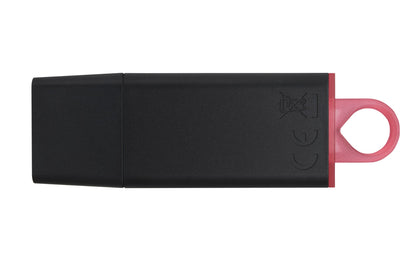 Kingston Technology DTX/256GB HDD
