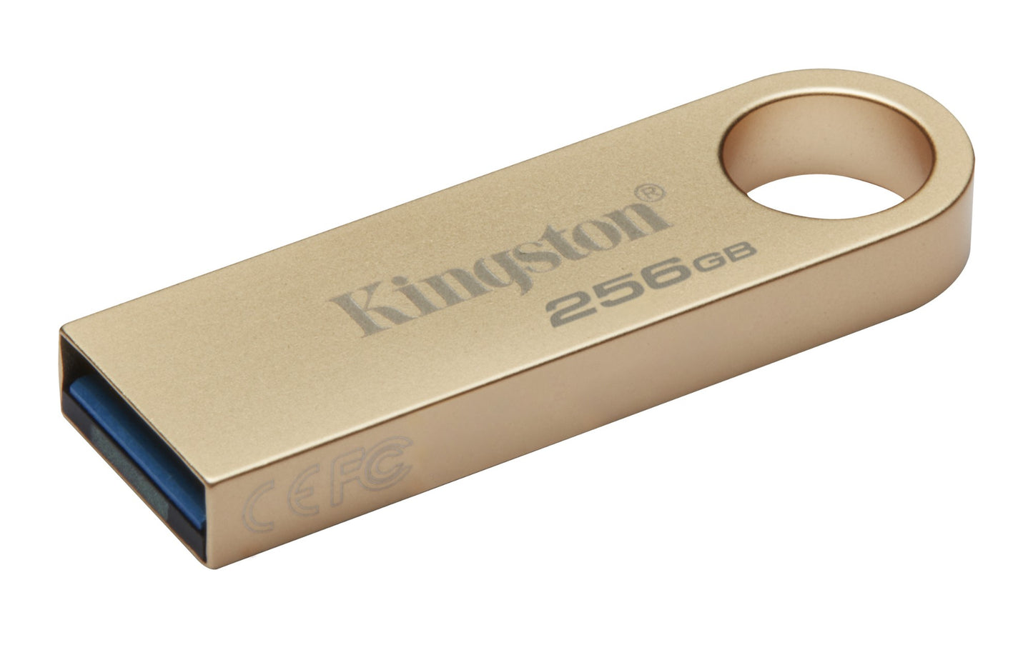 Kingston Technology DTSE9G3/256GB 256GB HDD