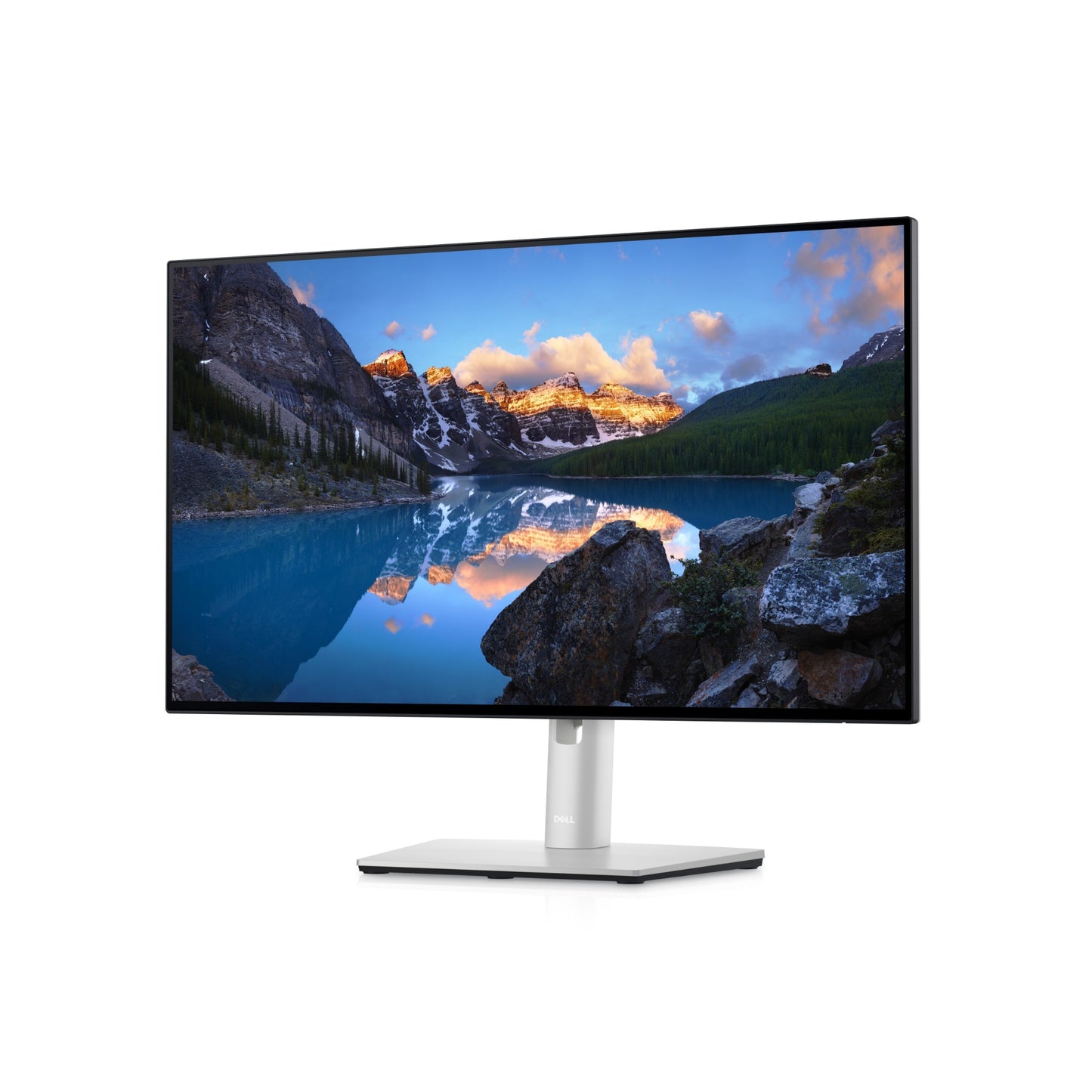 DELL UltraSharp 24 23.8" Full HD IPS Monitor