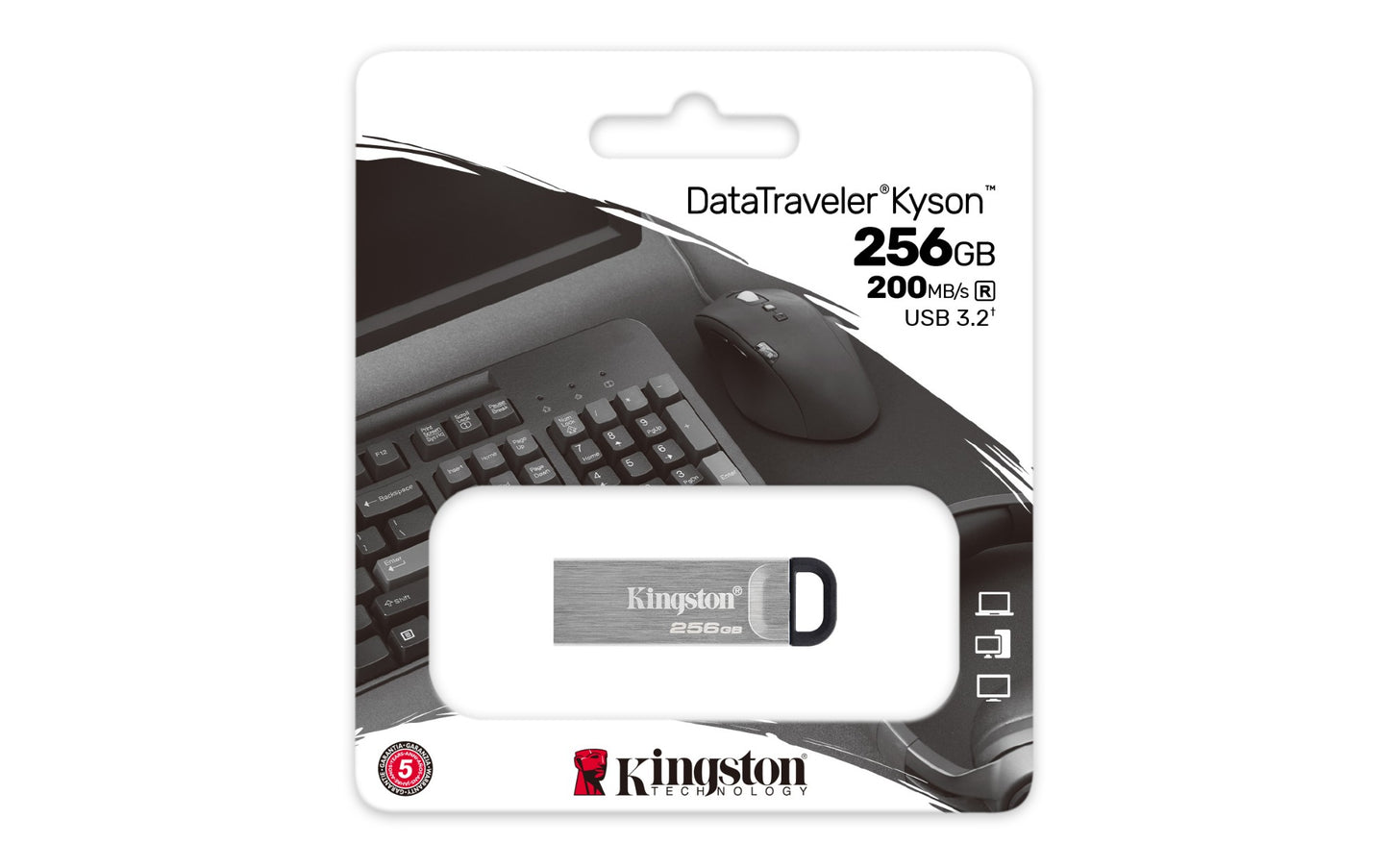 Kingston Technology DTKN/256GB 256GB HDD