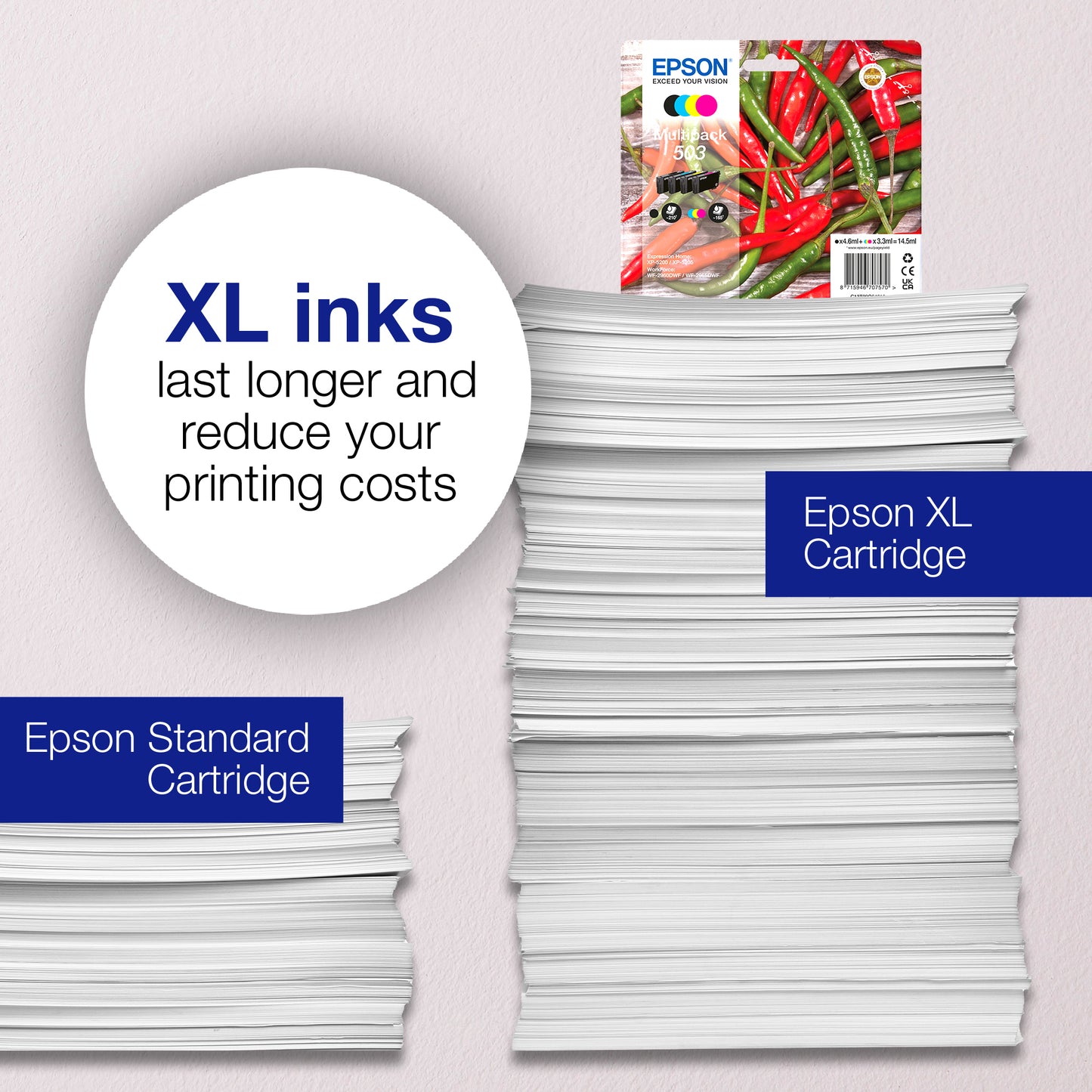 Epson C13T09R14010/503XL Black Ink Cartridge (550 pages, Epson XP-5200)