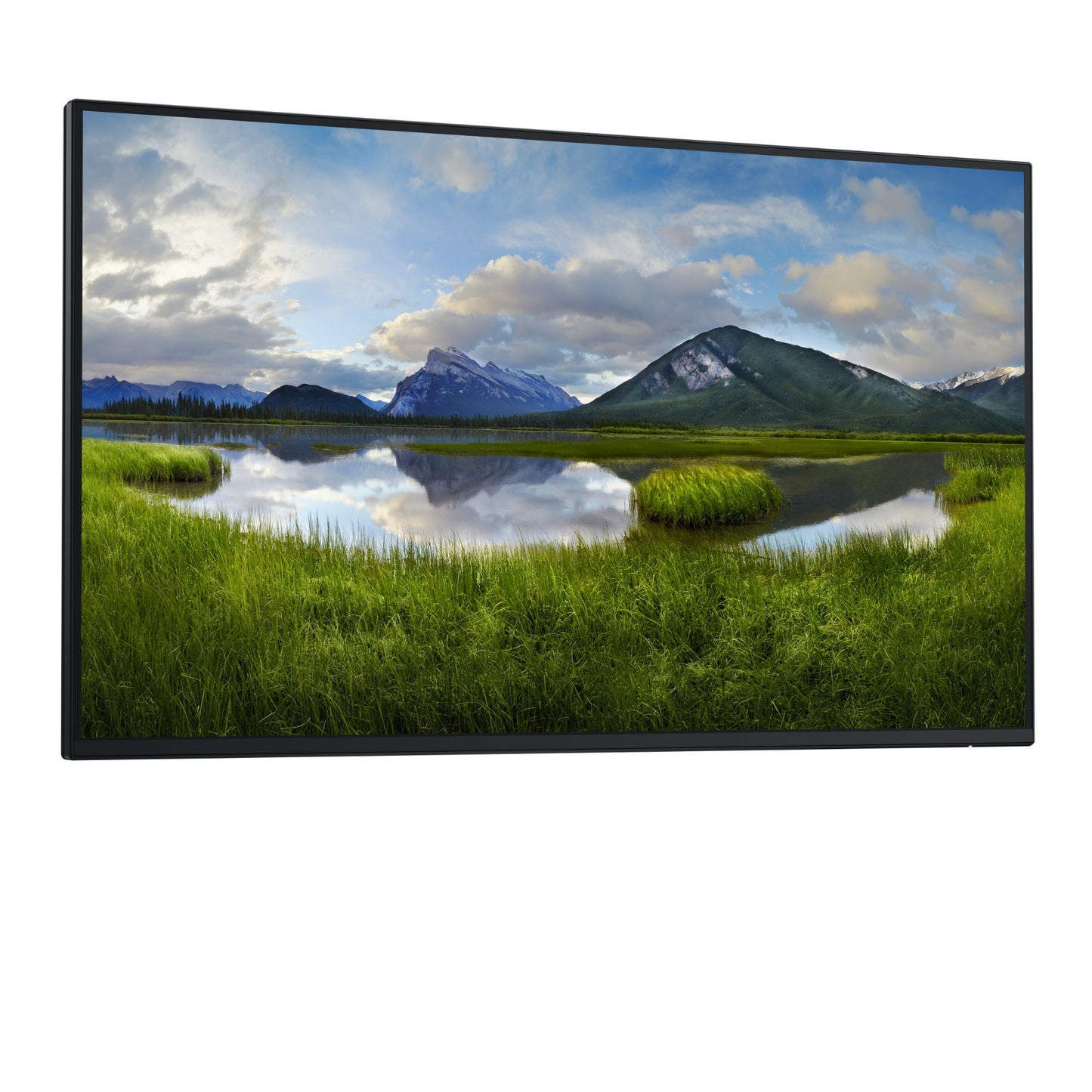 DELL Pro Plus P2725H_WOST 27" Full HD IPS 100Hz Monitor