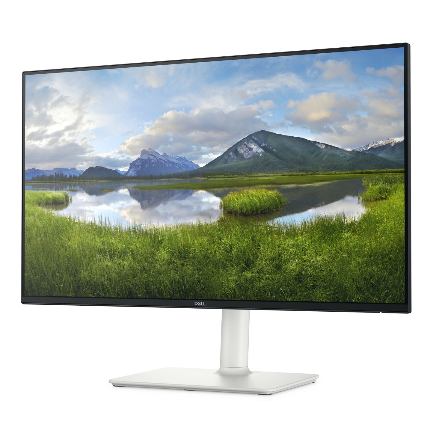 DELL Plus S2725HS 27" Full HD IPS 100Hz Monitor