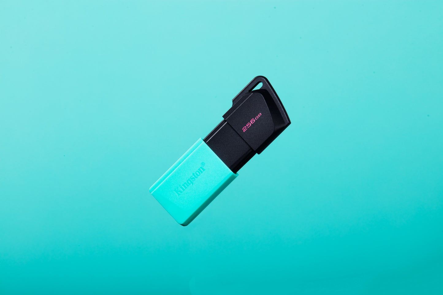 Kingston Technology Black 256GB HDD
