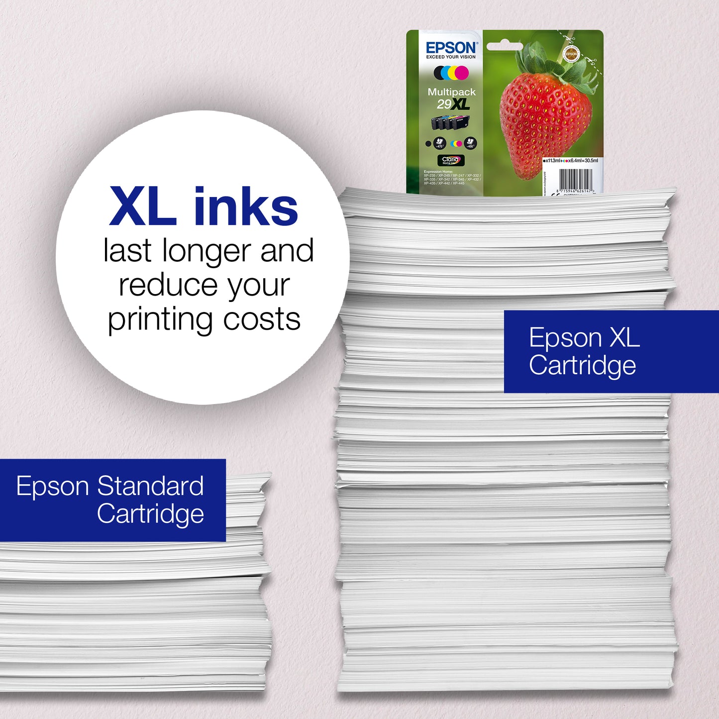 Epson C13T29814012/29 Black Ink Cartridge (175 pages)
