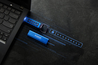 Kingston Technology IKKP200/128GB 128GB HDD