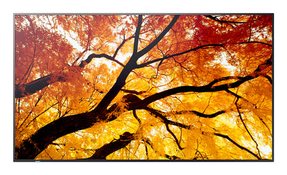 Sharp MultiSync M862 Digital signage flat panel 2.18 m 4K UHD IPS Monitor