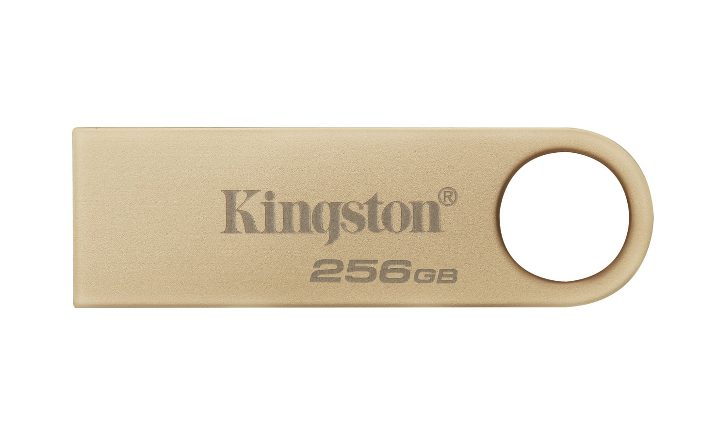 Kingston Technology DTSE9G3/256GB 256GB HDD