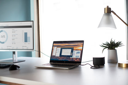 HP Fingerprint Wired Mouse