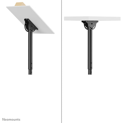 Neomounts NM-C440BLACK Monitor/TV mount ceiling 32-60" - h 56-91 cm