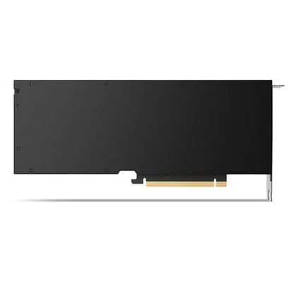 DELL NVIDIA RTX 4500 Ada 24 GB GDDR6 Hub
