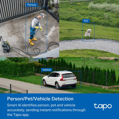 TP-LINK Tapo TC43(EU) V2 Spherical IP security camera Indoor & outdoor 2880 x 1620