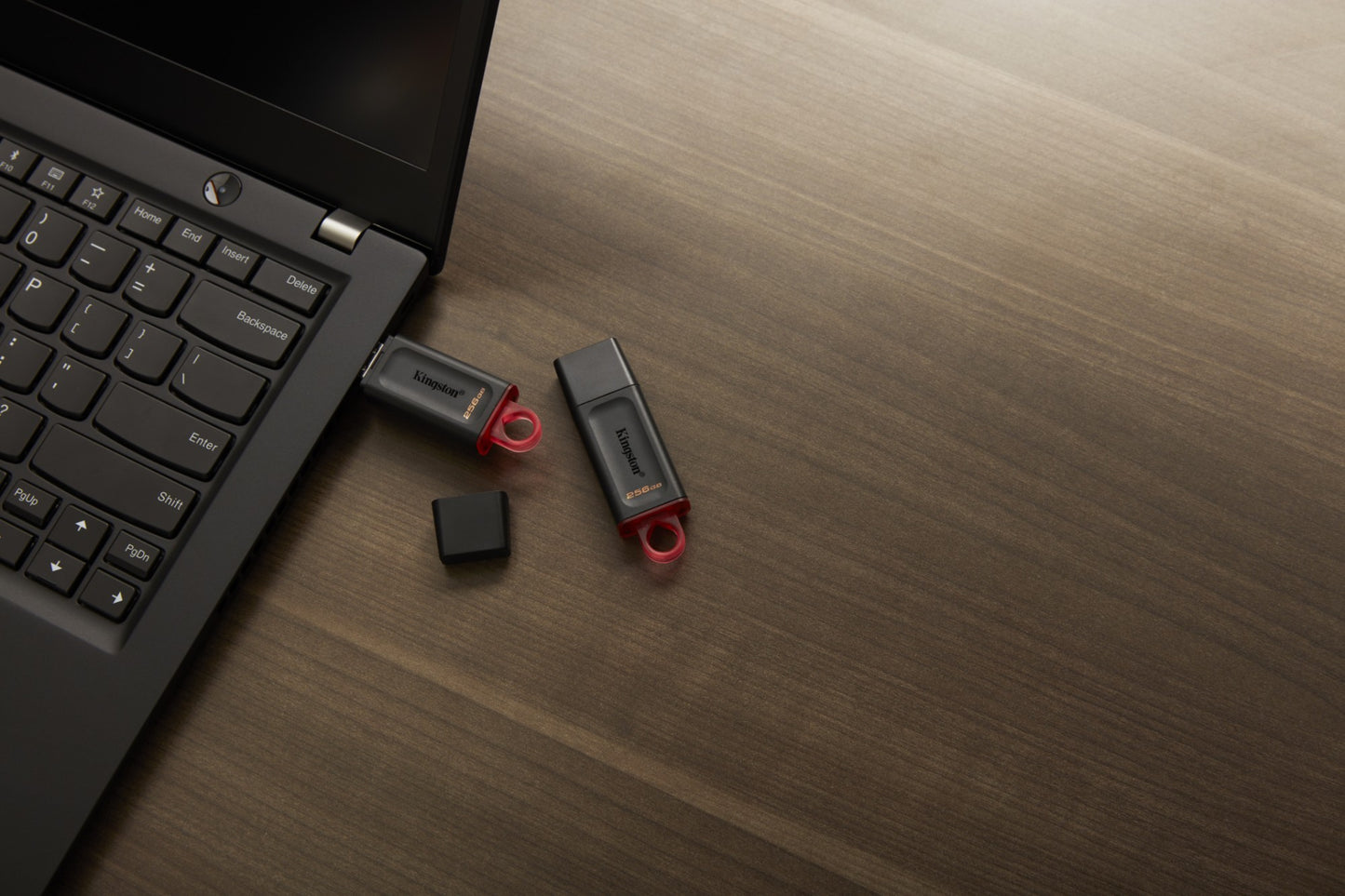 Kingston Technology DTX/256GB HDD