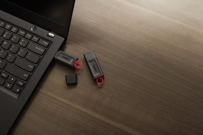 Kingston Technology DTX/256GB HDD