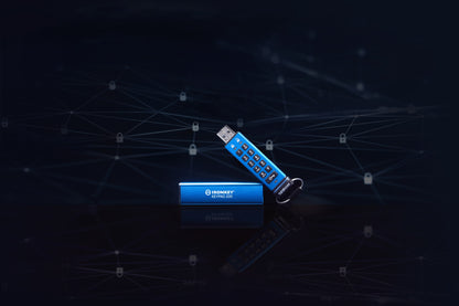 Kingston Technology IKKP200/128GB 128GB HDD