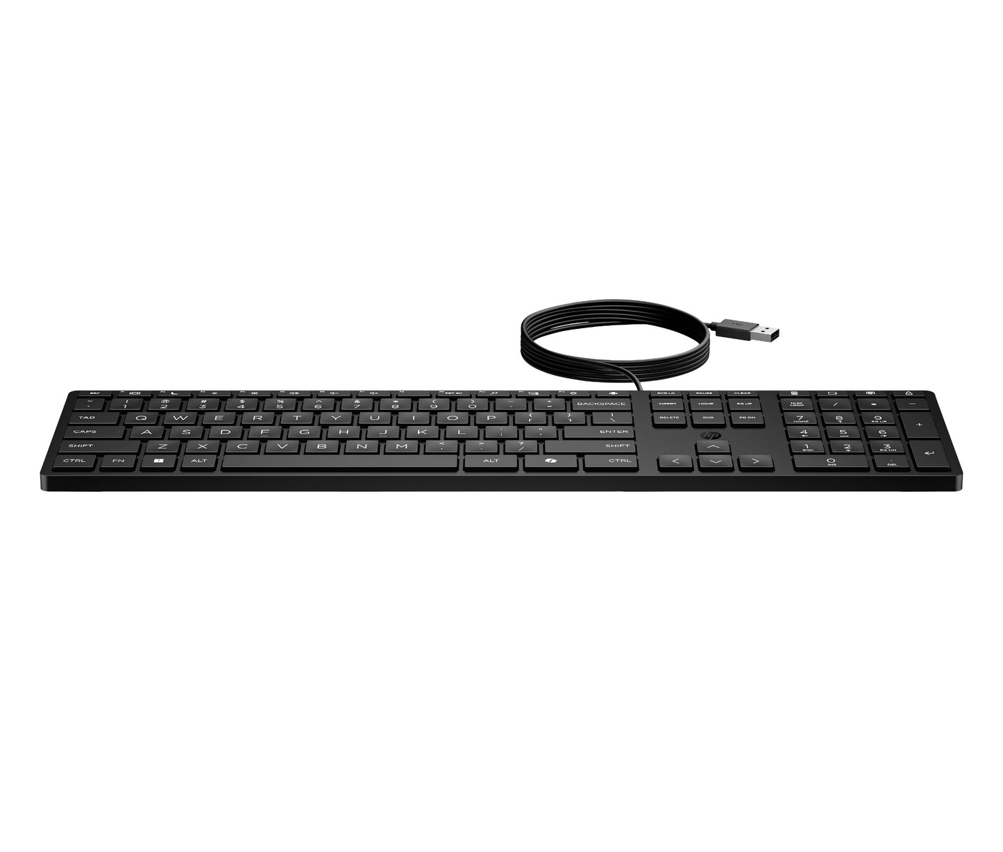 HP 320K Wired Keyboard (37UTUUW)