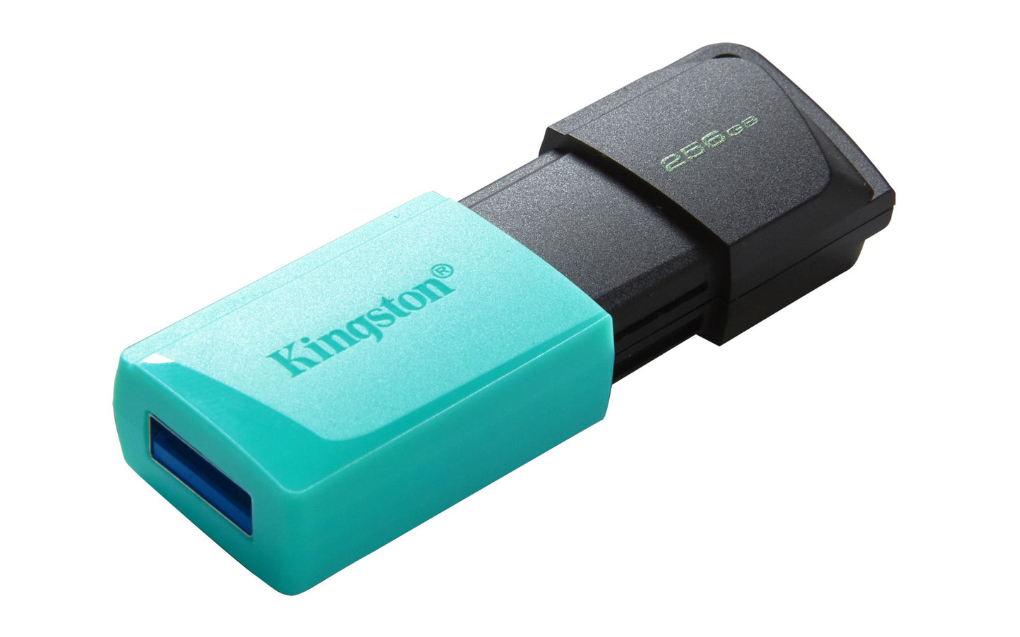Kingston Technology Black 256GB HDD