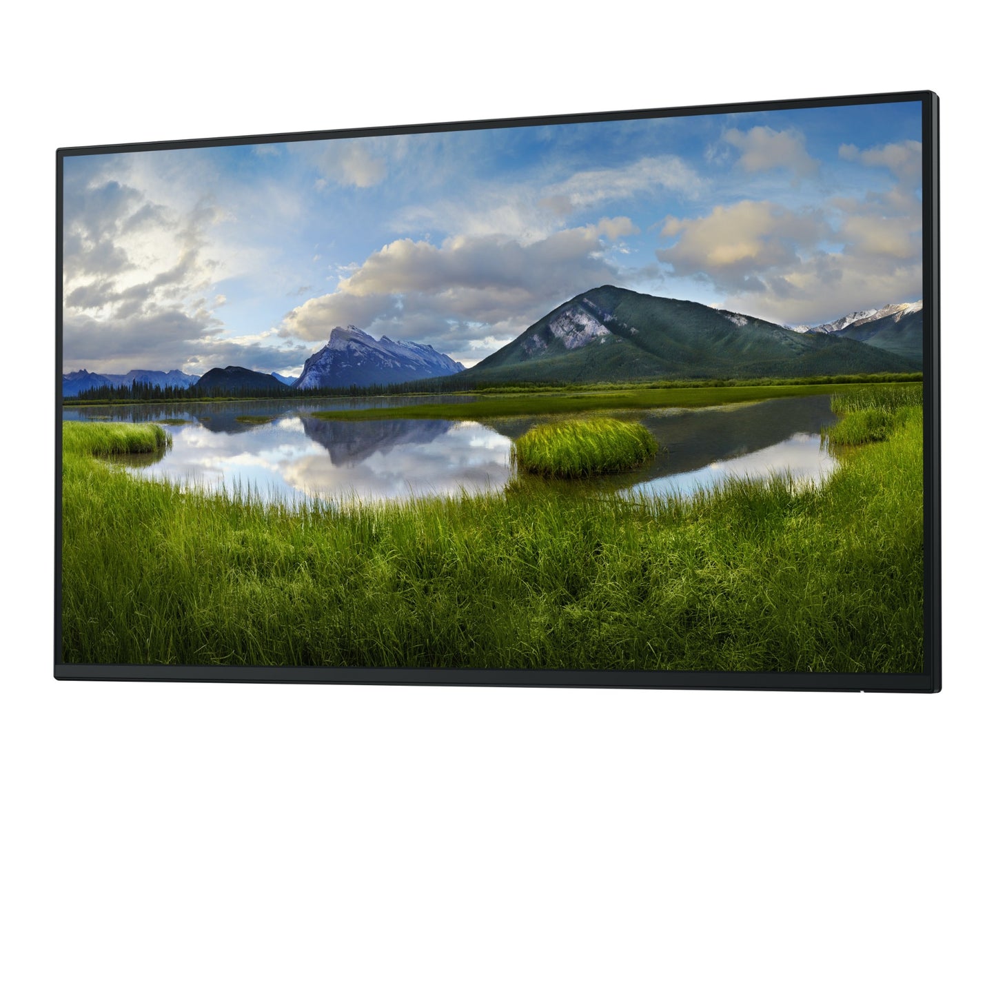 DELL Pro Plus P2725H_WOST 27" Full HD IPS 100Hz Monitor