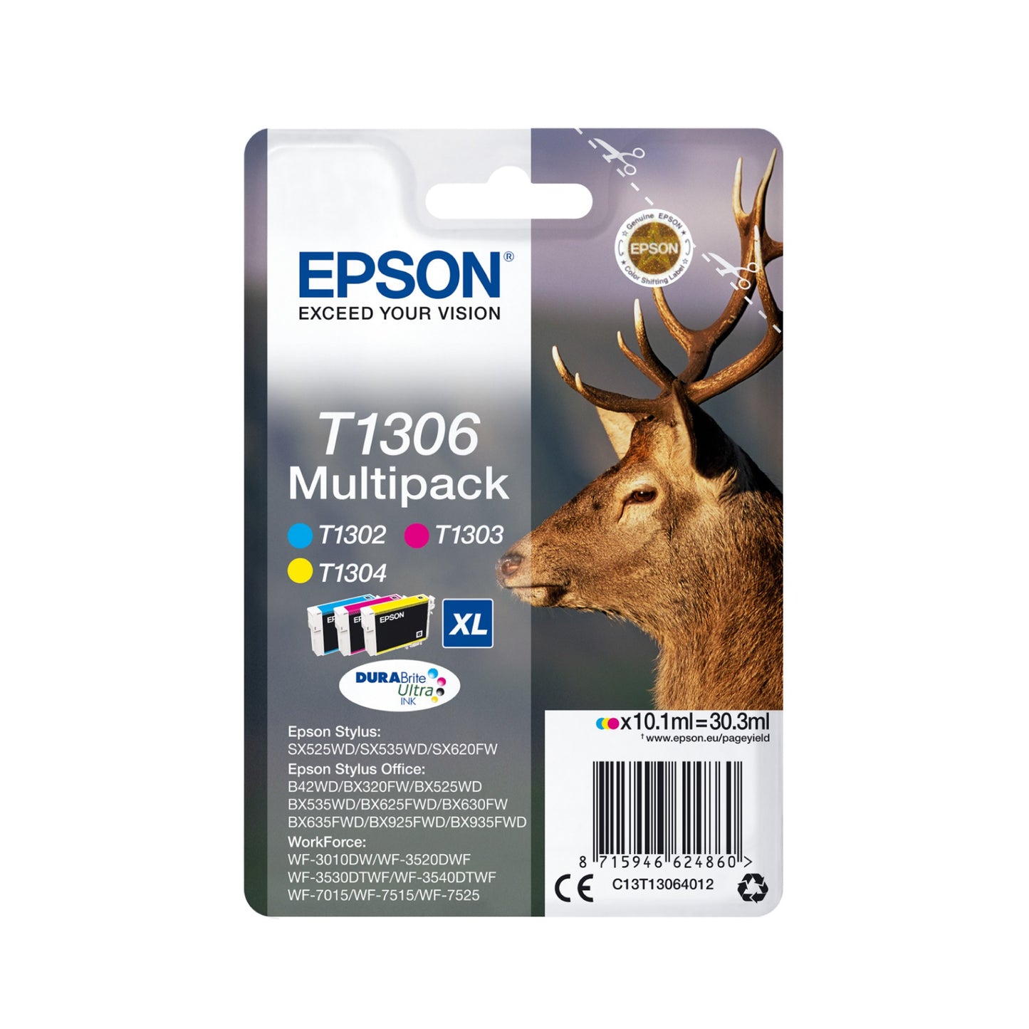 Epson C13T13014012/T1301 Black Ink Cartridge (945 pages)