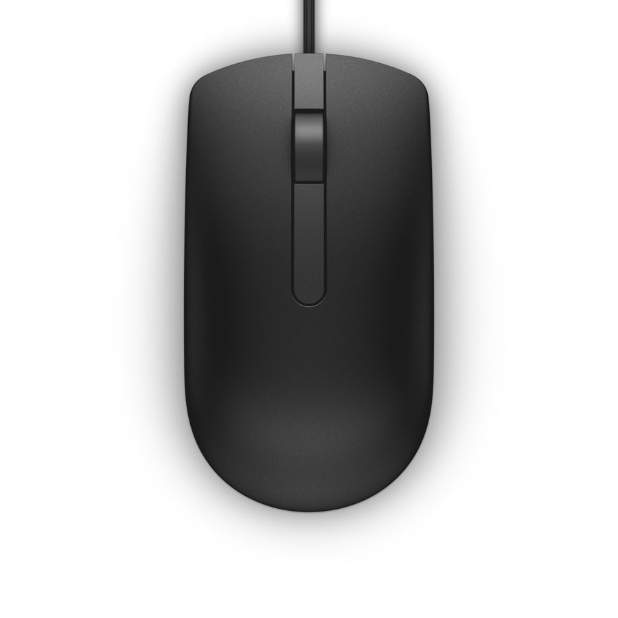 Mice
